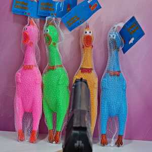 مرغ نالان رنگی جنس خارجی