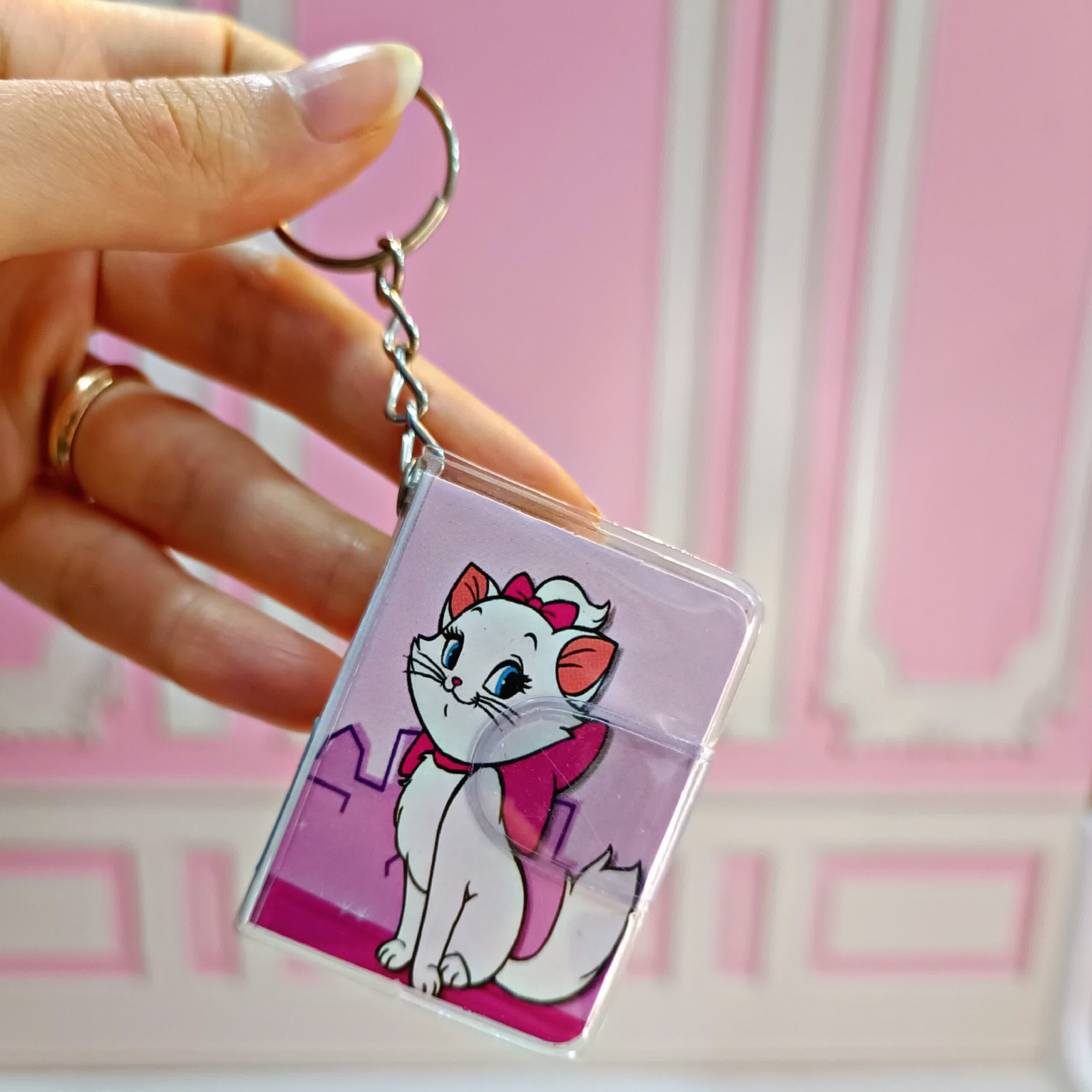 جاسوییچی دفترچه مینی کیتی